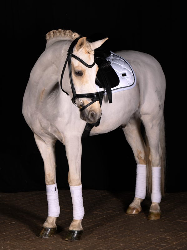 Dressage Saddle Pad White Perfection Cob vue 2
